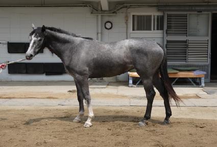 ���̼� ����