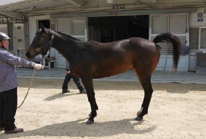 �Ӵ�ķ�� ����