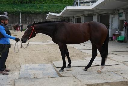 ���̺��Ŀ� ����