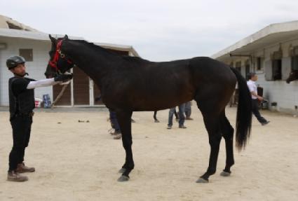 ��Ʈ���� ����