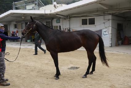 ���������� ����