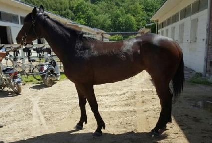 �������� ����