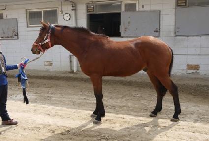 �ǽ���� ����