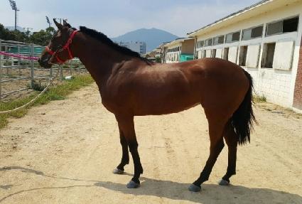 �ο������� ����