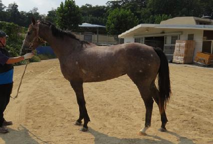 ���ߺұ�� ����