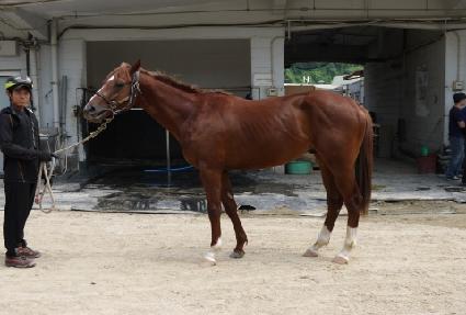 ŷ�����÷��� ����