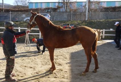 û�Ʈ ����