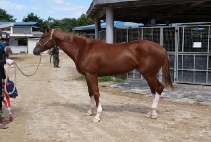 ������ȭ ����