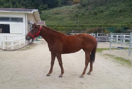 �������� ����