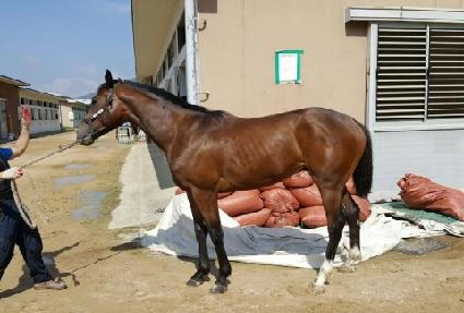 �������� ����