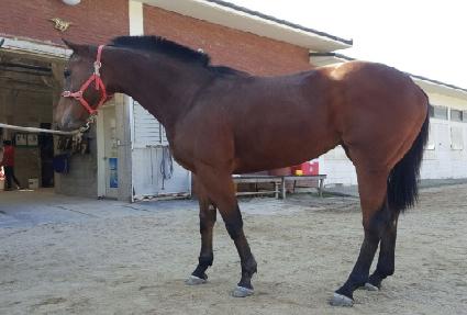 �Ŵ��ѿ��� ����