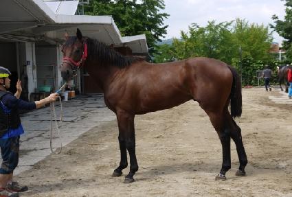 �������� ����