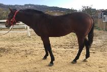 ��õ (SIMCHEON) ����