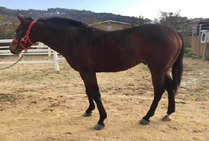 ��õ ����