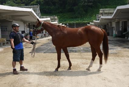 ��ι̸� ����