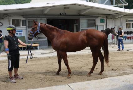 ��巹�� ����