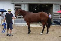 �������� (EPIPOLAR) ����