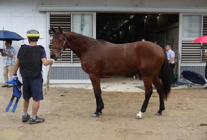 �������� ����