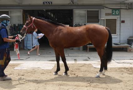 �ʶ���� ����