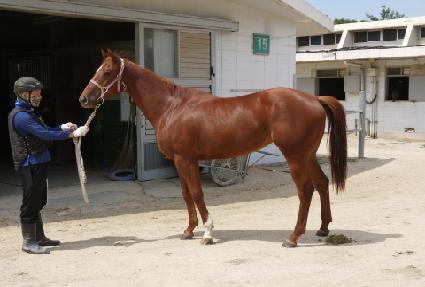 ť�ǵ巹�̵� ����