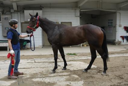 �����Ǻ� ����