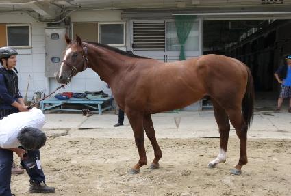 ����ŷ ����