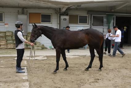 ������ ����