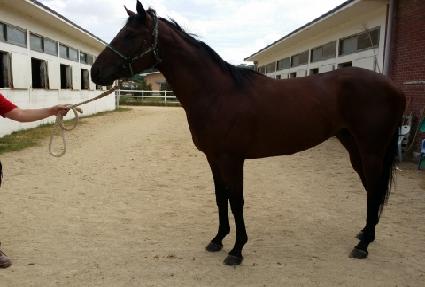 �����κ�Ʈ ����