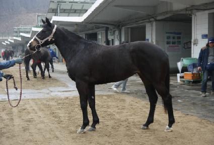 õ�� ����