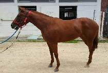 Ŀ�־���� (COMING AGAIN) ����