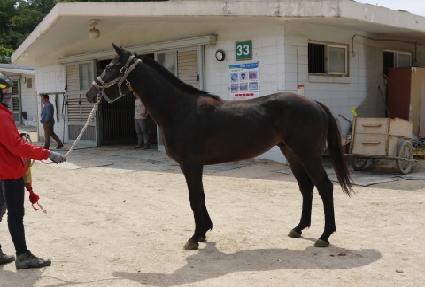 �Ѽ��� ����