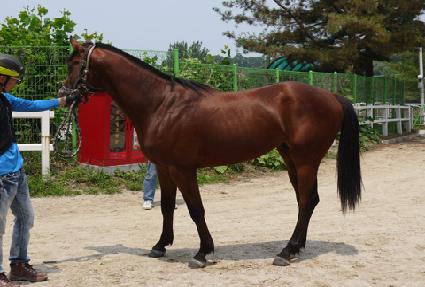 ����è�� ����