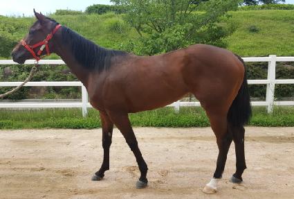 �������� ����