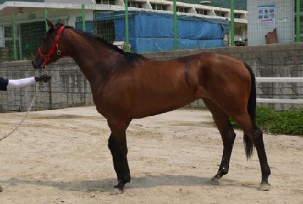 ��ġ���屺 ����