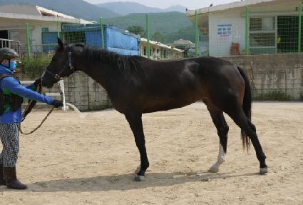 �ٸ���ķ�� ����