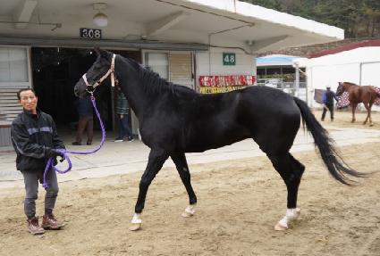 Ȳ�ݼ��� ����