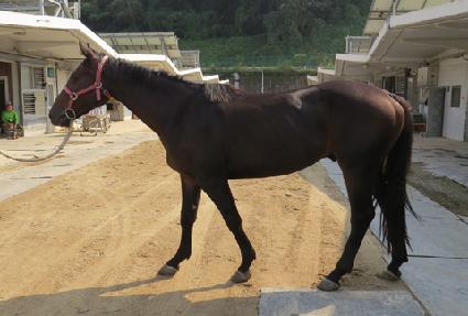 ��Ÿ�Ŀ� ����