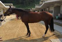 ���ֹٴ� (UJU BADA) ����