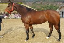 �ʴ³���� (NEONEUNNAEUNMYEONG) ����