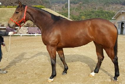 �ʴ³���� ����