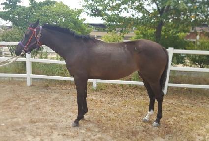 �ٿ�������� ����