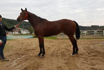 �������Ŀ� ����