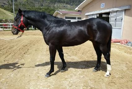 ���õ��¸� ����