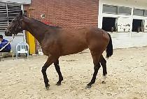 ����̸��� (STORMY MAGIC) ����