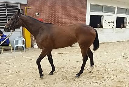 ����̸��� ����