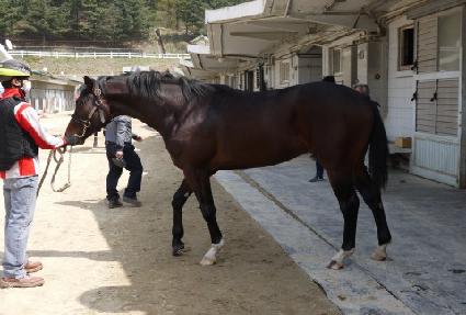 ����ƮŸ�� ����