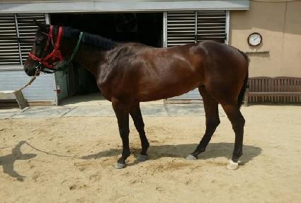 �ο�Ʈ���� ����