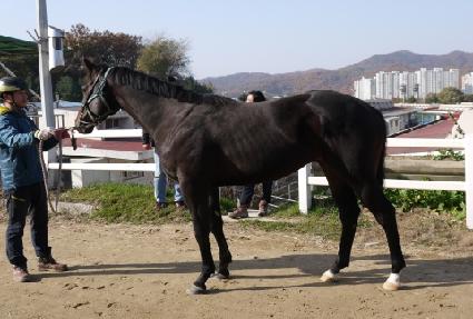 �ϰ��� ����