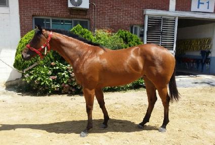 ������ ����