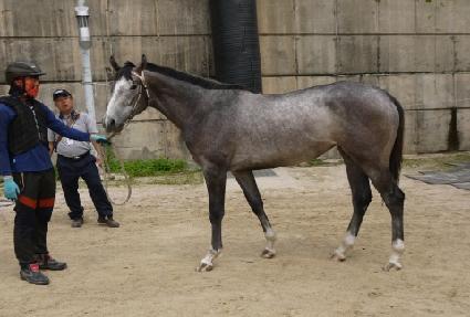 ��������Ʈ ����